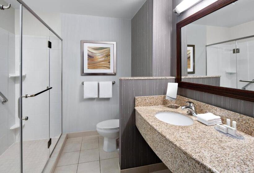 带大床的标准间, Courtyard By Marriott Raleigh North/triangle Town Center