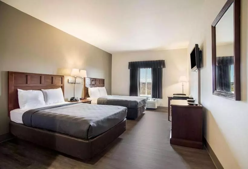 ２ダブルベッドのスタンダードルーム, Econo Lodge