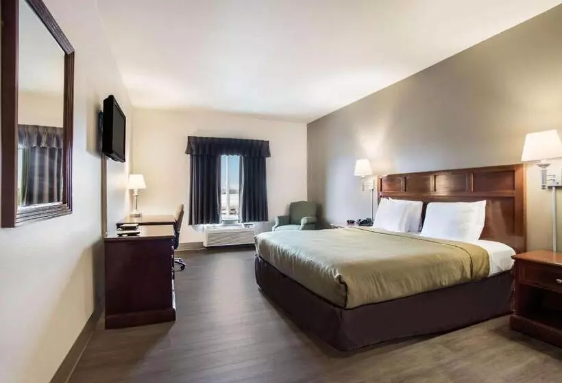 キングサイズベッドのスタンダードルーム, Econo Lodge
