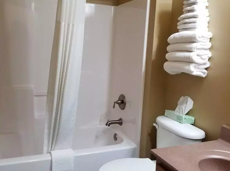 ２ダブルベッドのスタンダードルーム, Econo Lodge