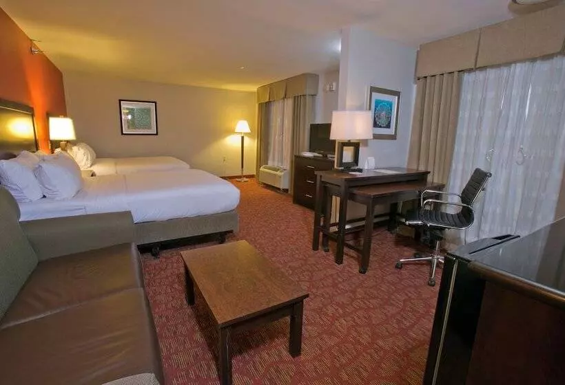 スイート, Holiday Inn Express & Suites Brookhaven, An Ihg