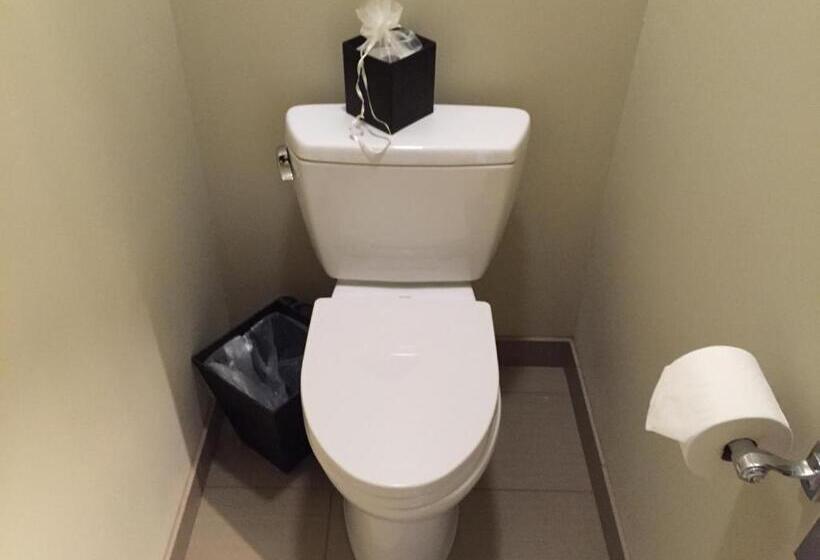 标准单人间, Ponte Vineyard Inn