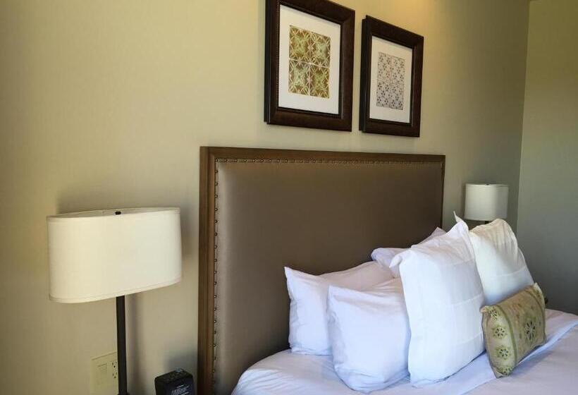 标准单人间, Ponte Vineyard Inn