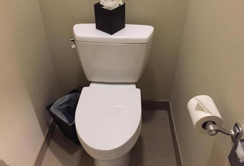 豪华房间, Ponte Vineyard Inn