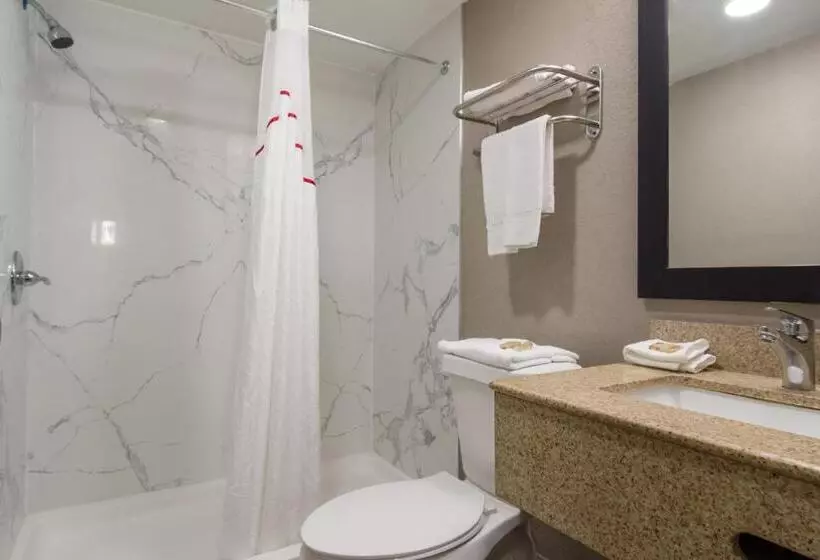 キングサイズベッドのデラックスルーム, Red Roof Inn & Suites Brunswick I95