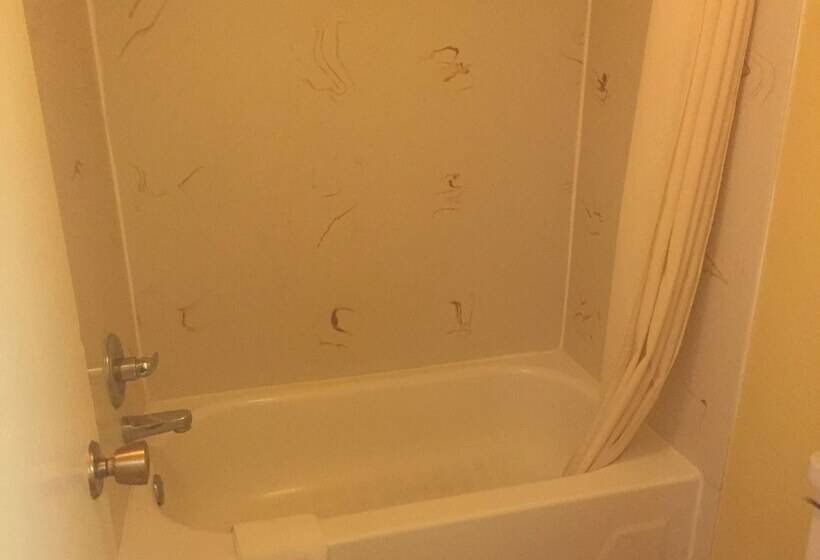 غرفه قياسيه سريرين مزدوجين, Economy Inn