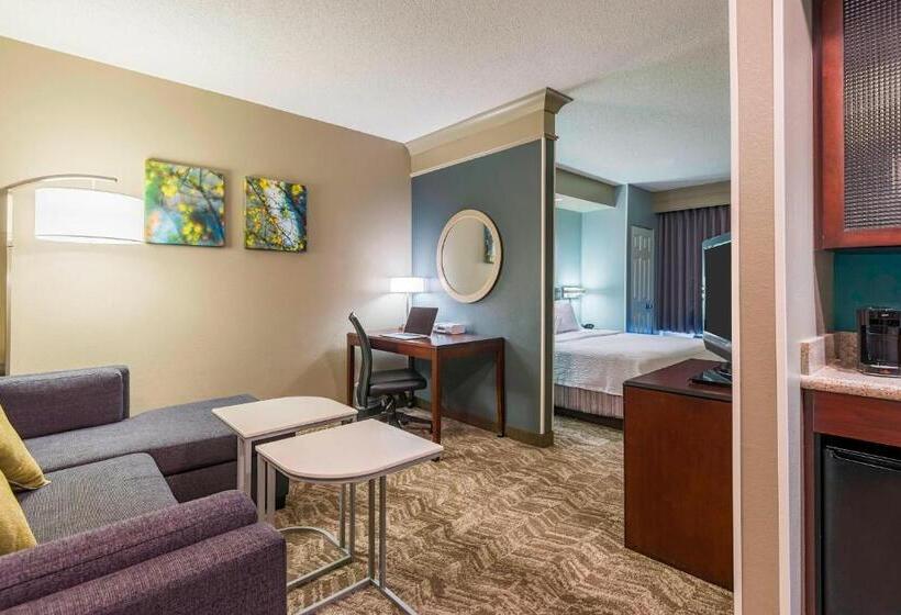 带大床的标准工作室, Springhill Suites Richmond Northwest