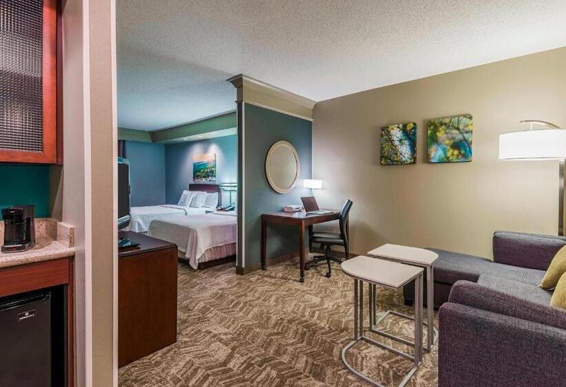 Студия Стандарт, Springhill Suites Richmond Northwest