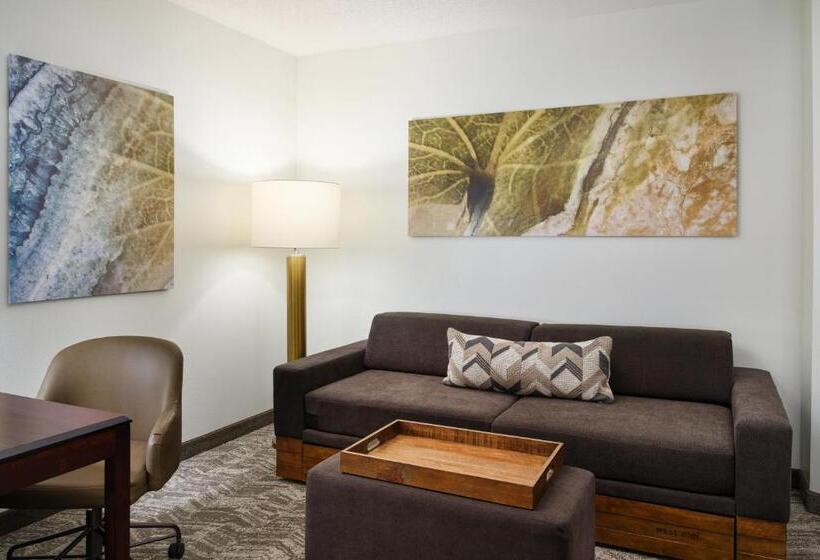 Студио Стандарт Кровать Кинг, Springhill Suites Richmond Northwest