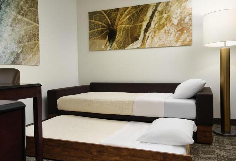 Студия Стандарт, Springhill Suites Richmond Northwest