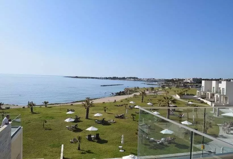 سوئیت اجرایی با چشم‌انداز دریا, Amphora Hotel & Suites