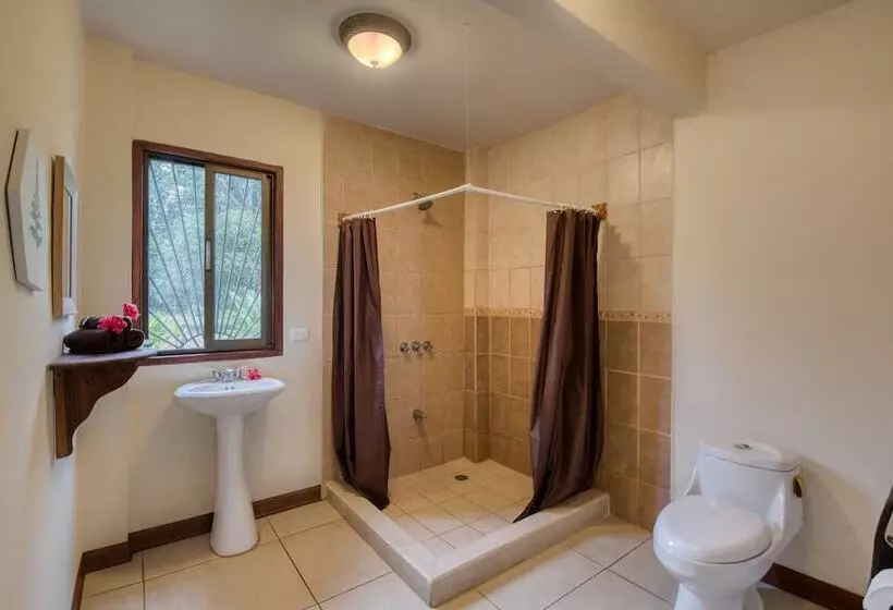 آپارتمان کامفورت 2 خوابه, Banana Azul Adults Only