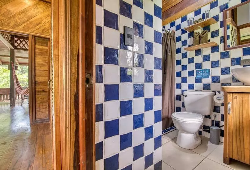 آپارتمان اکونومی 1 خوابه, Banana Azul Adults Only