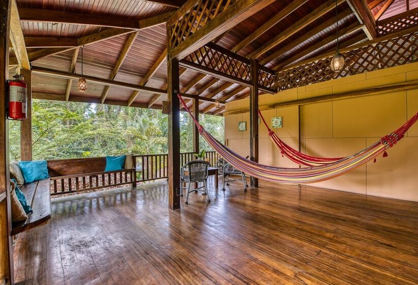 آپارتمان اکونومی 1 خوابه, Banana Azul Adults Only