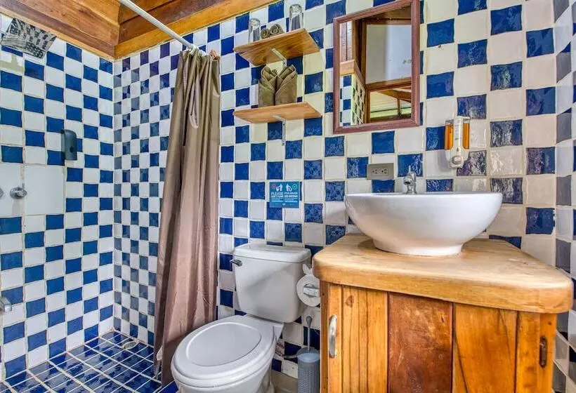 آپارتمان اکونومی 1 خوابه, Banana Azul Adults Only
