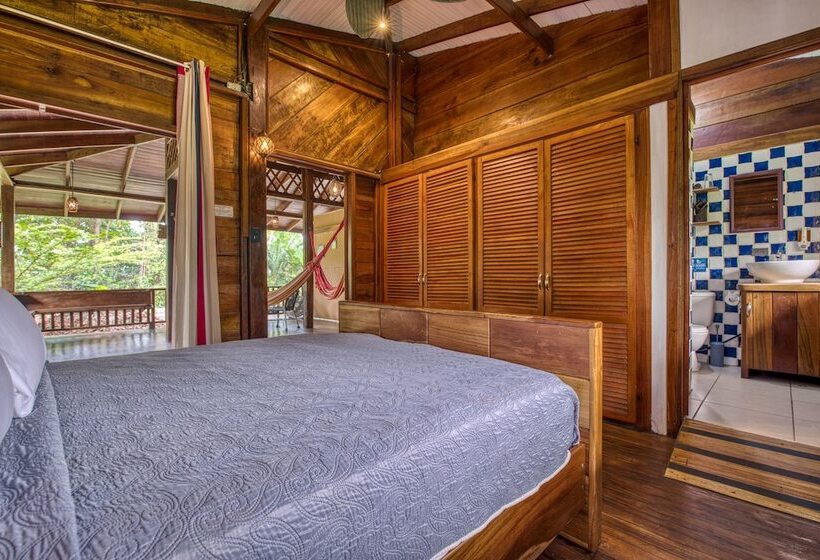 آپارتمان اکونومی 1 خوابه, Banana Azul Adults Only