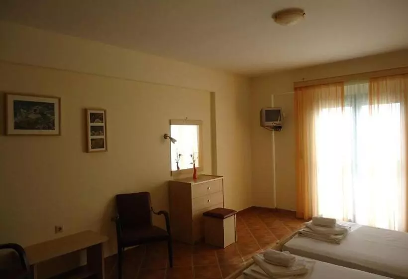 Studio Standard, Coralli