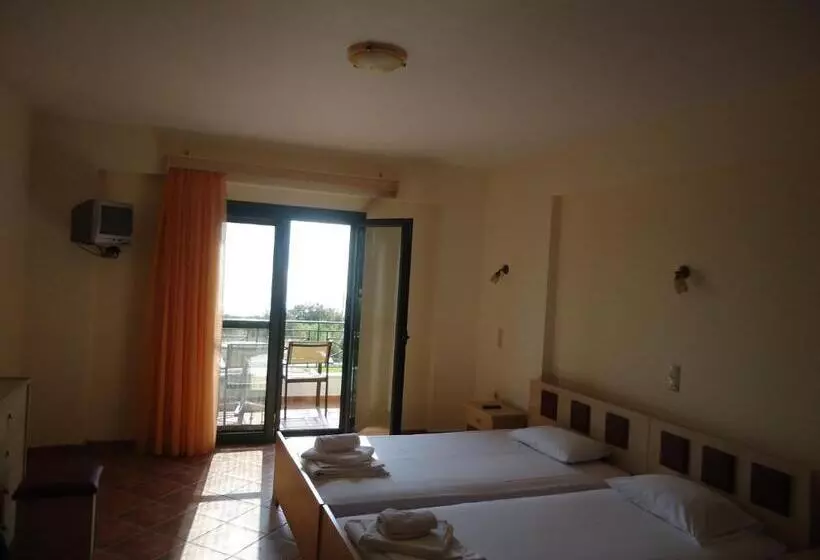 Studio Standard, Coralli