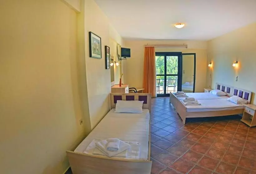 Studio Standard, Coralli