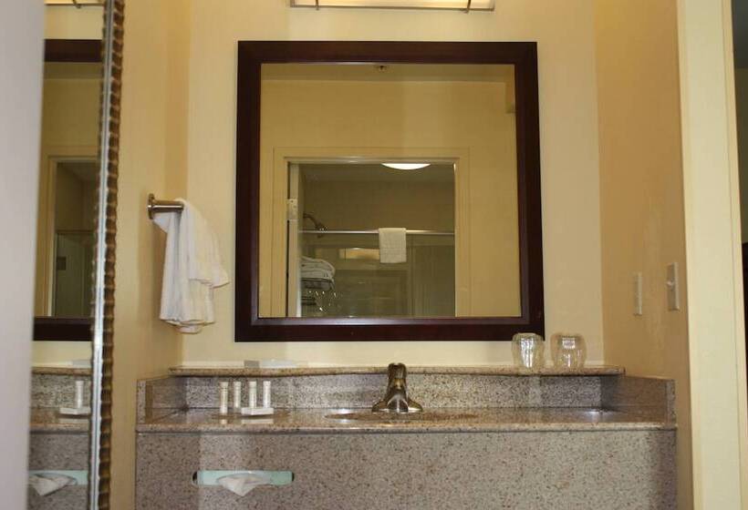 套房, Springhill Suites By Marriott Oklahoma City Airport