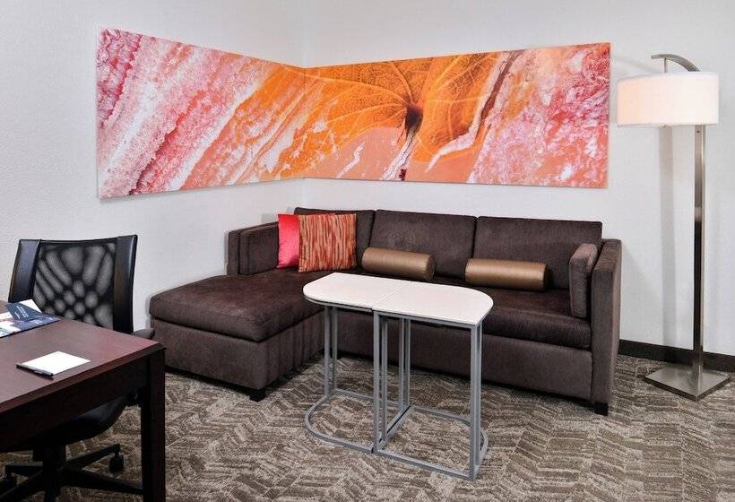 Люкс, Springhill Suites By Marriott Oklahoma City Airport