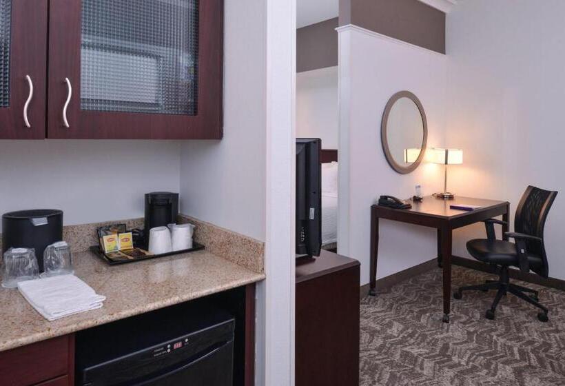 Люкс Кровать Кинг, Springhill Suites By Marriott Oklahoma City Airport