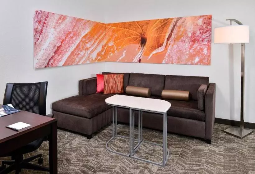 キングサイズベッドのスイートルーム, Springhill Suites By Marriott Oklahoma City Airport