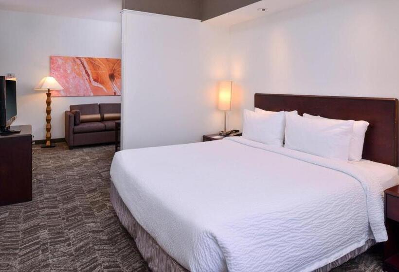 Люкс Кровать Кинг, Springhill Suites By Marriott Oklahoma City Airport