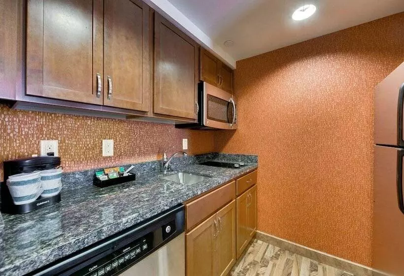 スイート, Homewood Suites By Hilton Fort Worth   Medical Center, Tx