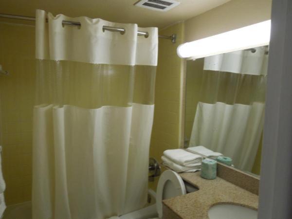 اتاق استاندارد با تخت بزرگ, Belmont Inn & Suites Virginia Beach