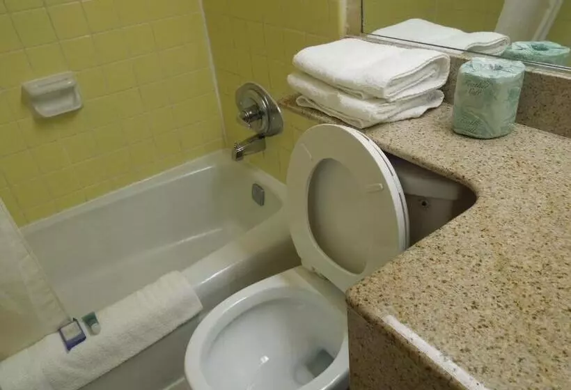 キングサイズベッドのスタンダードルーム, Belmont Inn & Suites Virginia Beach