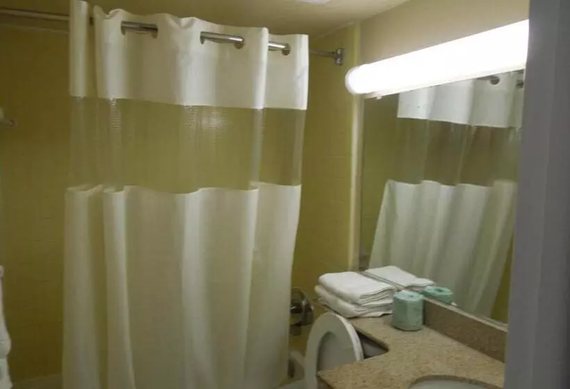 スタンダードシングルルーム, Belmont Inn & Suites Virginia Beach