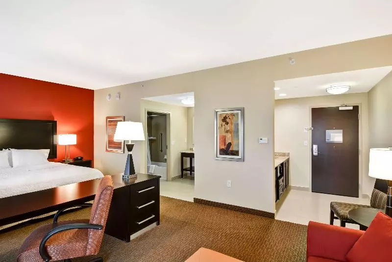 Standard-studio King-vuode, Hampton Inn & Suites Tampa Northwest/oldsmar