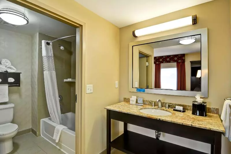Standard-studio King-vuode, Hampton Inn & Suites Tampa Northwest/oldsmar