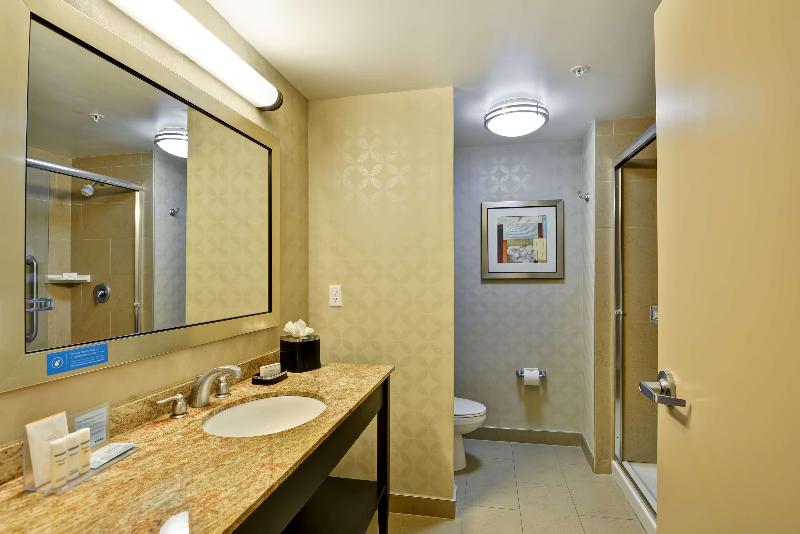 스탠다드 룸 킹사이즈 침대, Hampton Inn & Suites Tampa Northwest/oldsmar
