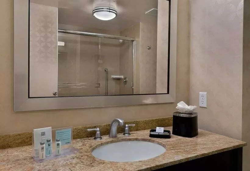 Standard-huone, Hampton Inn & Suites Tampa Northwest/oldsmar