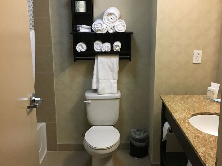 غرفة قياسية, Hampton Inn & Suites Tampa Northwest/oldsmar