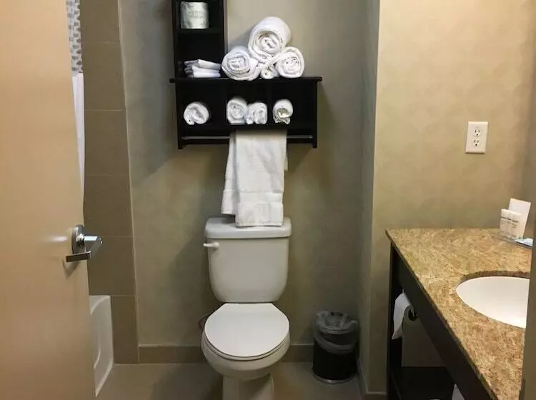 Standard-huone, Hampton Inn & Suites Tampa Northwest/oldsmar