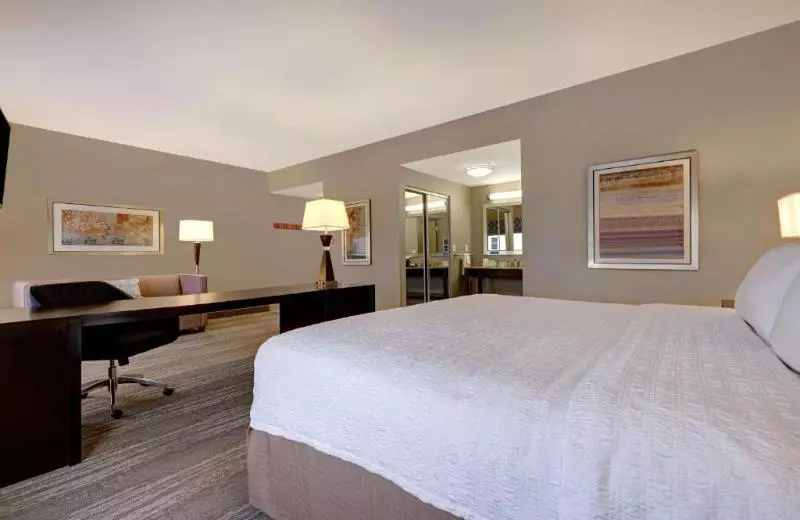 Standard-studio King-vuode, Hampton Inn & Suites Tampa Northwest/oldsmar