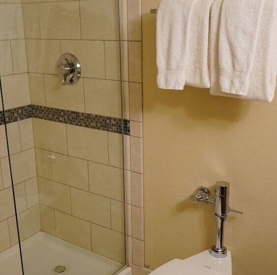 اتاق لوکس, Downtown Grand Hotel & Casino