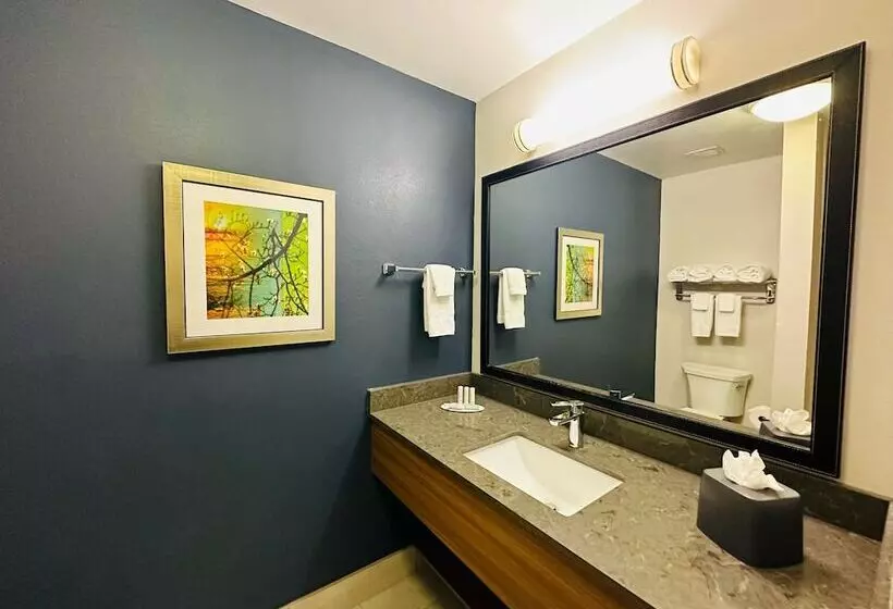 スイート, Fairfield Inn & Suites By Marriott Waco North