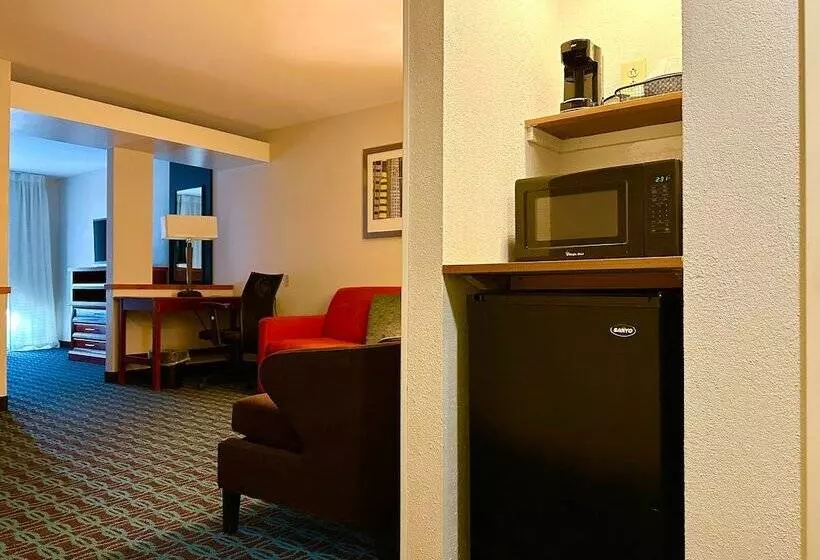 スイート, Fairfield Inn & Suites By Marriott Waco North