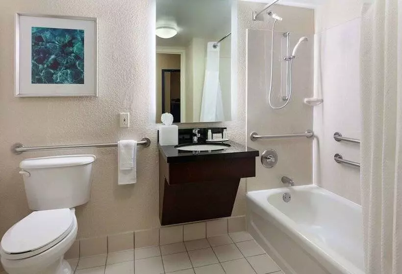 身障者適用スタンダードルーム, Fairfield Inn & Suites By Marriott Orlando Lake Buena Vista In The Marriott Village