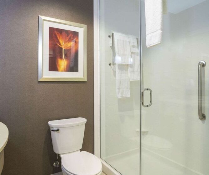小型套房, Hilton Garden Inn Sioux Falls Downtown
