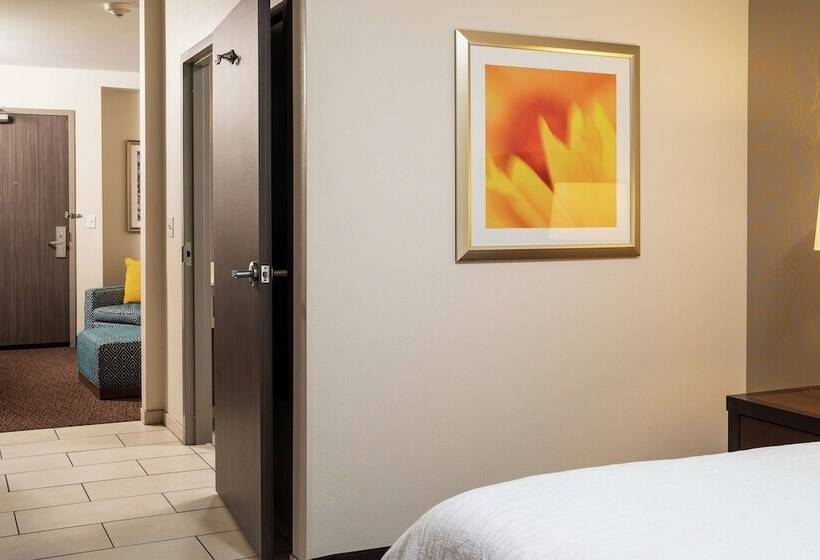 주니어 스위트, Hilton Garden Inn Sioux Falls Downtown