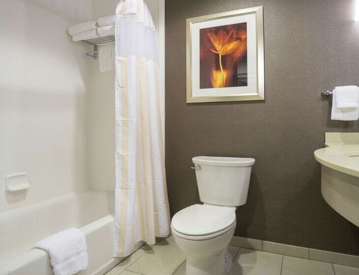 스탠다드 룸 더블 침대 2개, Hilton Garden Inn Sioux Falls Downtown