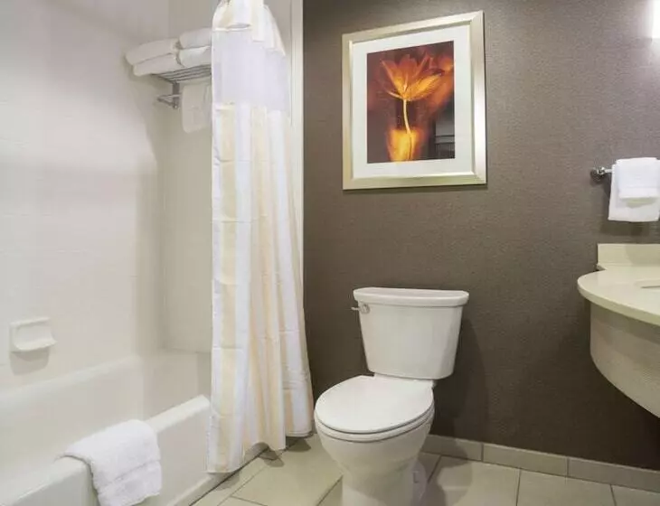 ２ダブルベッドのスタンダードルーム, Hilton Garden Inn Sioux Falls Downtown