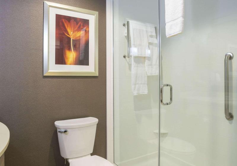 스탠다드 룸 킹사이즈 침대, Hilton Garden Inn Sioux Falls Downtown