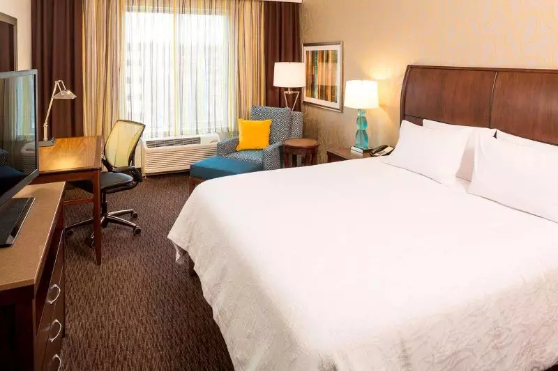 キングサイズベッドのスタンダードルーム, Hilton Garden Inn Sioux Falls Downtown