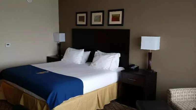 キングサイズベッドのスタンダードルーム, Holiday Inn Express & Suites Deming Mimbres Valley, An Ihg